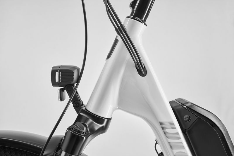 Diamant Zing Trip Core (Lowstep) 545 Wh-1