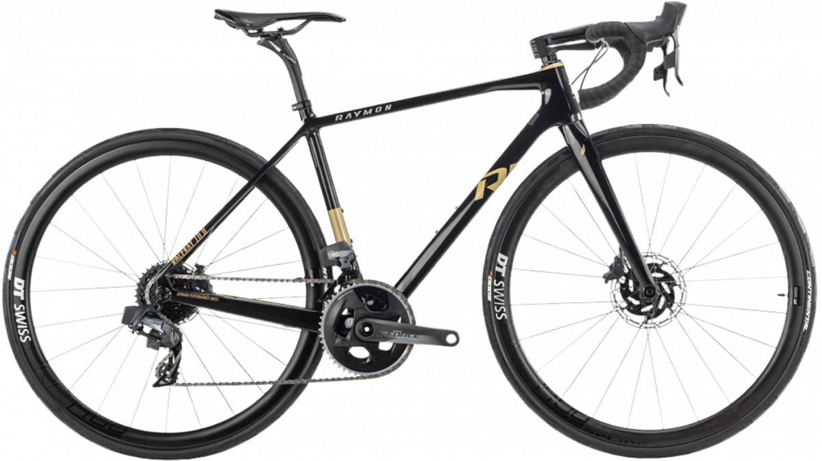 Fitness Fahrrad Raymon Raceray Vermietung